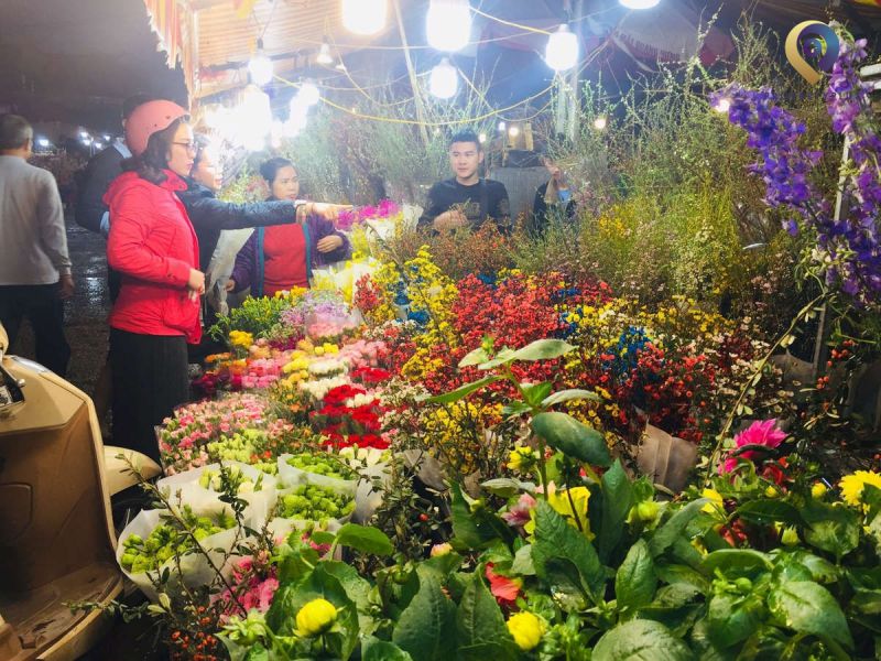Chợ hoa Quảng Bá bán hoa tươi mới ngắt từ đêm